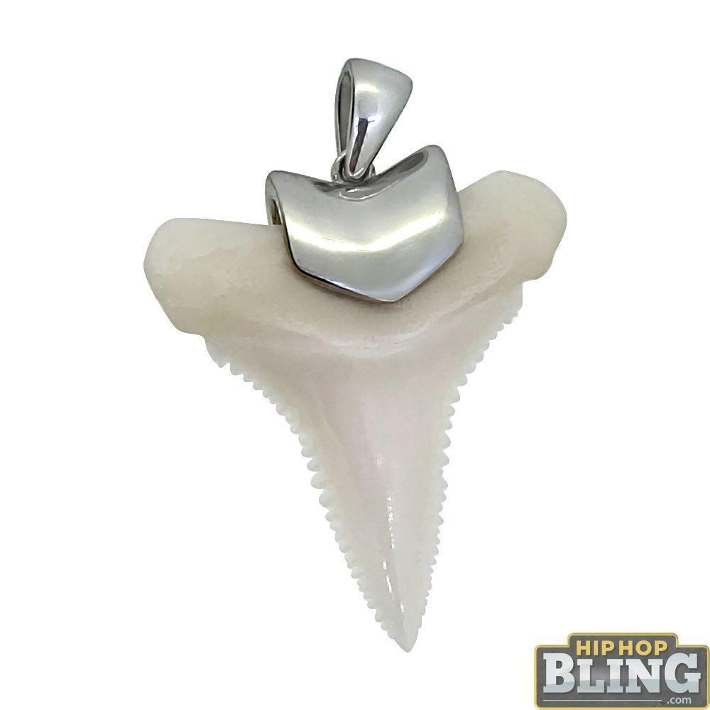 Real Shark Tooth Pendant .925 Sterling Silver